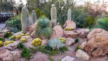 Arizona